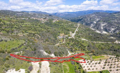 Shared agricultural fields in arminou, Paphos 