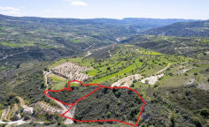 Shared agricultural fields in arminou, Paphos 