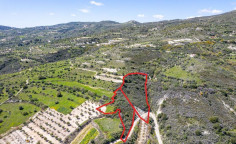 Shared agricultural fields in arminou, Paphos 