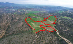 Agricultural 60537 m2 for sale in Nicosia
