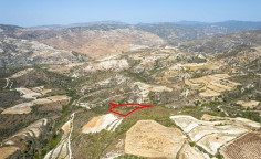 Agricultural 10368 m2 for sale in Dora