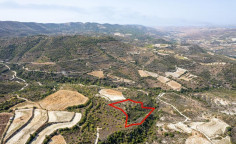 Agricultural 10368 m2 for sale in Dora