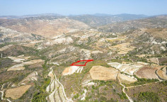 Agricultural 10368 m2 for sale in Dora
