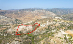 Agricultural 40469 m2 for sale in Dora