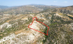 Agricultural 40469 m2 for sale in Dora