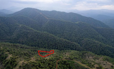 Agricultural field in pano Pyrgos, Nicosia 