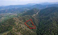 Agricultural field in pano Pyrgos, Nicosia 