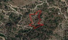 Beautiful agricultural for sale in Limassol