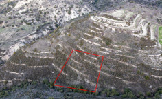 Agricultural 2342 m2 for sale in Dora