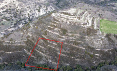 Agricultural 2342 m2 for sale in Dora