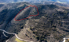 Agricultural 24750 m2 for sale in Dora