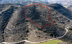 Agricultural 24750 m2 for sale in Dora