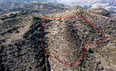 Agricultural 24750 m2 for sale in Dora