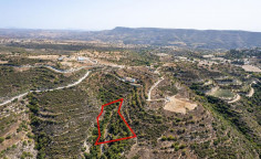 Beautiful agricultural 9031 m2 for sale in Dora