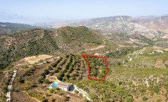Beautiful agricultural 9031 m2 for sale in Dora