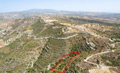 Beautiful agricultural 9031 m2 for sale in Dora
