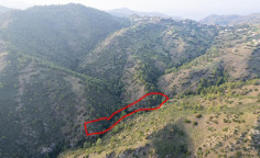 Agricultural 4014 m2 for sale in Nicosia