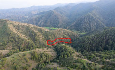 Agricultural 4014 m2 for sale in Nicosia