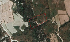 Agricultural 11743 m2 for sale in Dora