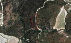 Luxury agricultural 5017 m2 for sale in Dora