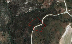 Beautiful agricultural 5017 m2 for sale in Dora