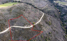 Beautiful agricultural 5017 m2 for sale in Dora
