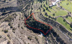 Agricultural 5017 m2 for sale in Dora