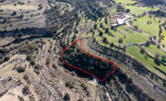 Agricultural 5017 m2 for sale in Dora