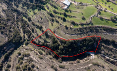 Agricultural 5017 m2 for sale in Dora