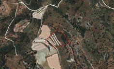 Spacious agricultural for sale in Dora