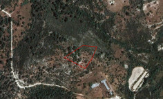 Agricultural 6169 m2 for sale in Dora