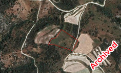 Beautiful agricultural 8027 m2 for sale in Dora