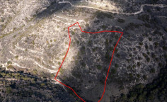 Agricultural 14791 m2 for sale in Dora