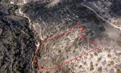 Agricultural 14791 m2 for sale in Dora