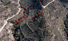 Beautiful agricultural 10703 m2 for sale in Dora