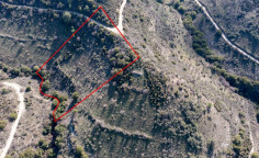 Beautiful agricultural 10703 m2 for sale in Dora