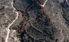 Beautiful agricultural 10703 m2 for sale in Dora