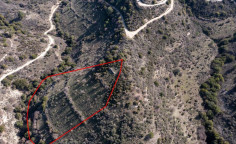 Luxury agricultural 12041 m2 for sale in Dora