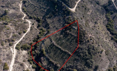 Luxury agricultural 12041 m2 for sale in Dora