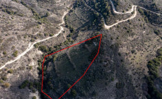 Luxury agricultural 12041 m2 for sale in Dora