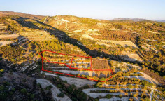Three agricultural fields in Amargeti, Paphos 