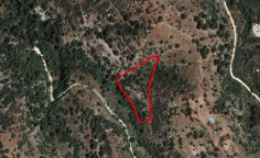 Beautiful agricultural 8696 m2 for sale in Dora