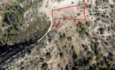 Beautiful agricultural 4014 m2 for sale in Dora