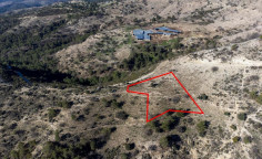 Beautiful agricultural 4014 m2 for sale in Dora