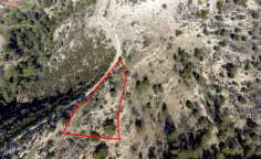 Agricultural 4014 m2 for sale in Dora