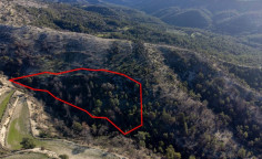 Agricultural 14716 m2 for sale in Dora