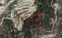 Agricultural 14716 m2 for sale in Dora