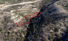Field in pano archimandrita, Paphos 