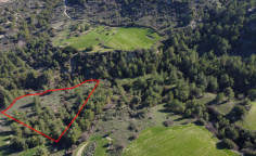 Agricultural 8696 m2 for sale in Dora