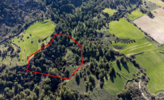 Beautiful agricultural 9365 m2 for sale in Dora